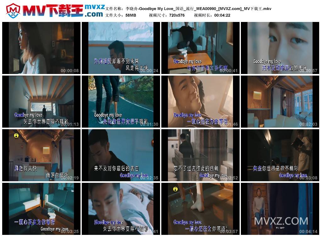 李晓舟-Goodbye My Love_国语_流行_MEA00990